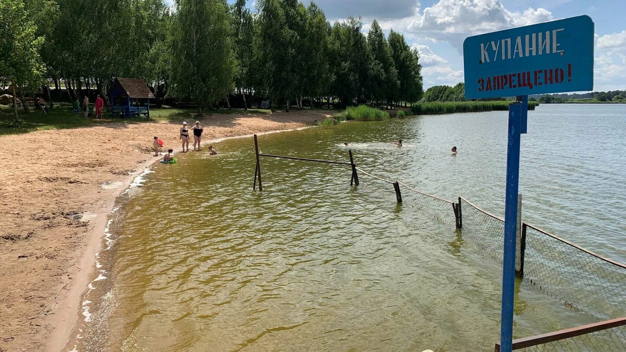 Долгое (озеро, белоруссия). Нарочанские озера в белоруссии. Самое чистое озеро в беларуси. Озеро нарочь. Озеро молочное беларусь.