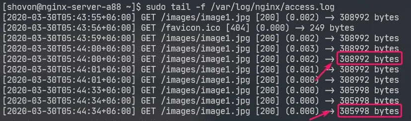 Access log. Логи nginx. nginx access log формат. nginx config logs. nginx стандартный лог format.