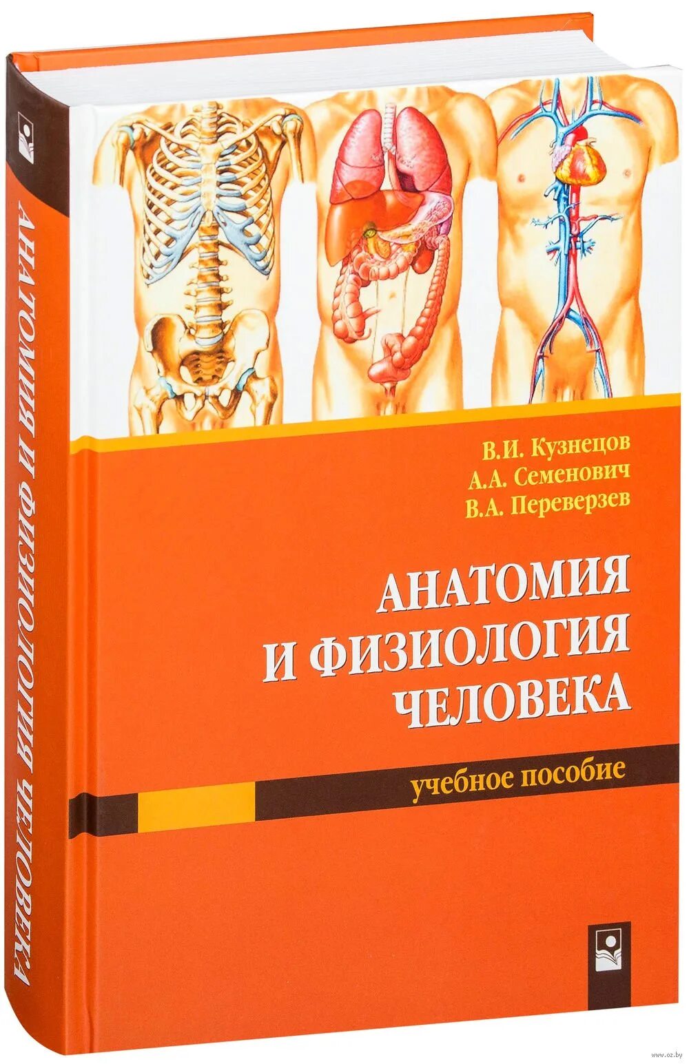 Анатомия человека пособия. Физиология человека. Анатомия и физиология. Пособие анатомия и физиология человека. Физиология человека Кузнецов.