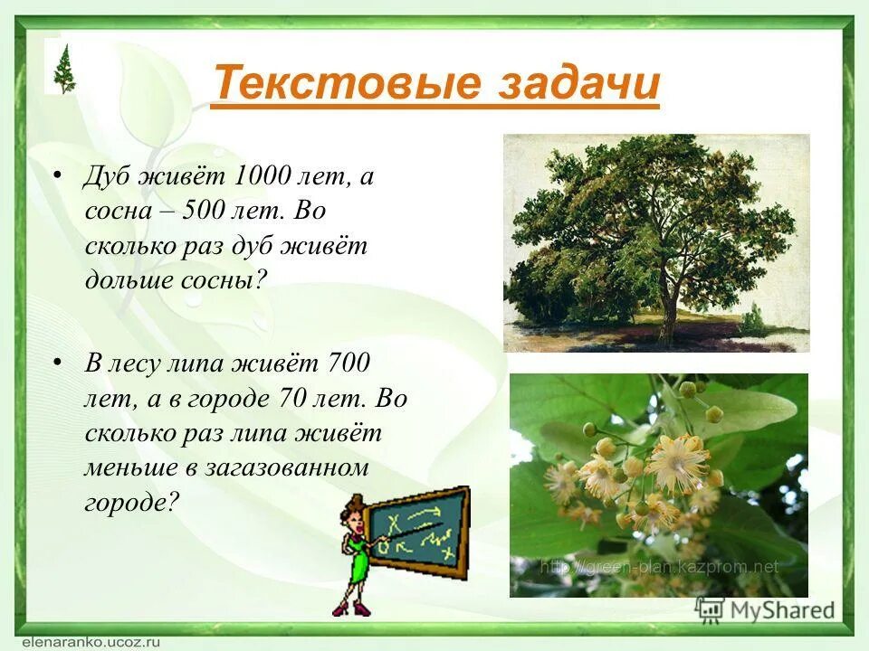 Липа живет лет. Сколько лет живет дуб. Сколько может прожить дуб. Сколько лет дубу.