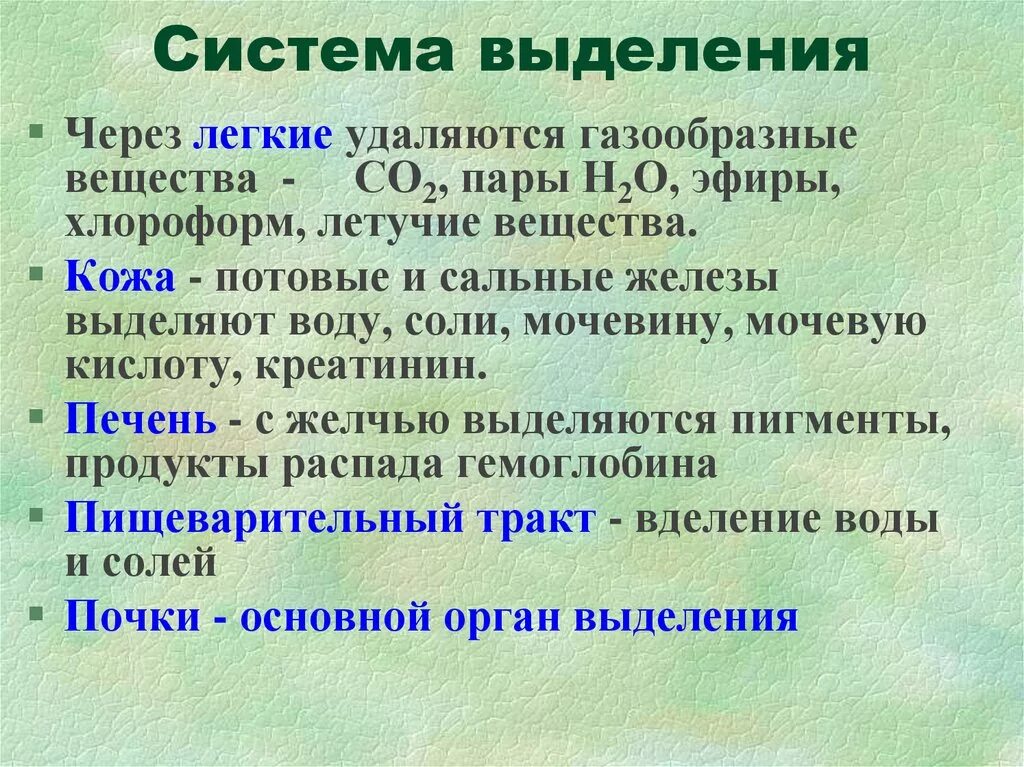 Органы принимающие участие в процессе выделения. Система выделения. Какие вещества выделяются через легкие. Система органов выделения и кожа функции.