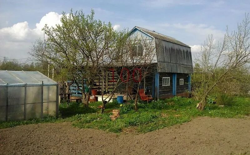 Дачи в смоленске без посредников недорого. Дачная Смоленск. Дачи в Пригорском. Дачи в Смоленске. Смоленск дачи РТС.