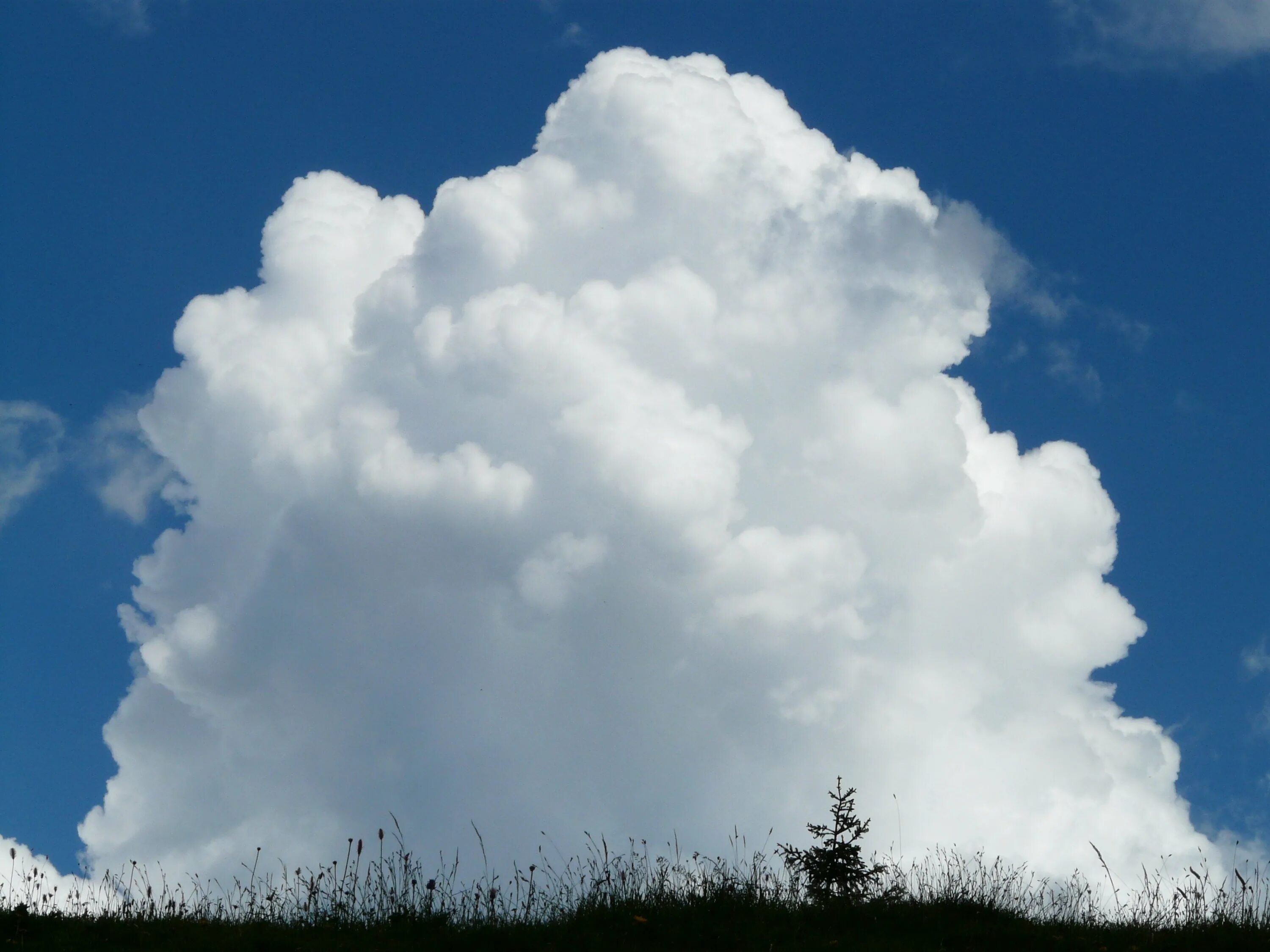 Огромное белое облако. Кумулус Нимбус. Облака. Пушистые облака. Мощные Кучевые облака.