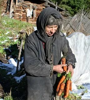 Где жили лыковы