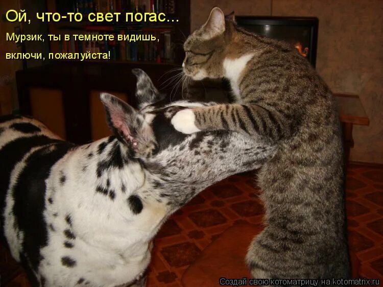 видеть красоту в простых вещах цитаты. видишь она включи. мемы с людьми. картины с меняющимся изображением. видишь она включи.