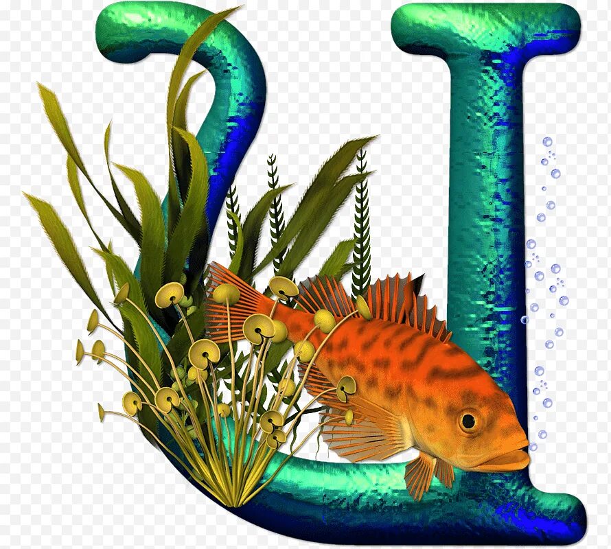Рыба на букву с. Рыбка из букв. Рыбки с буквами. Аквариум из буквы щ.