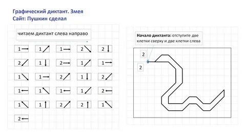 Графический диктант по клеточкам. Змея