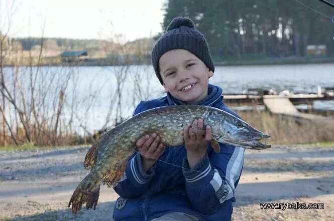 Папа щука. Дядя щука. Рыбаки поймали 9 щук, дядя Саша. Автор щука