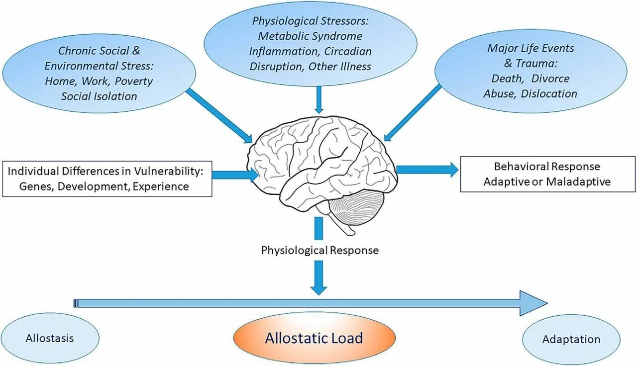 Physiological response