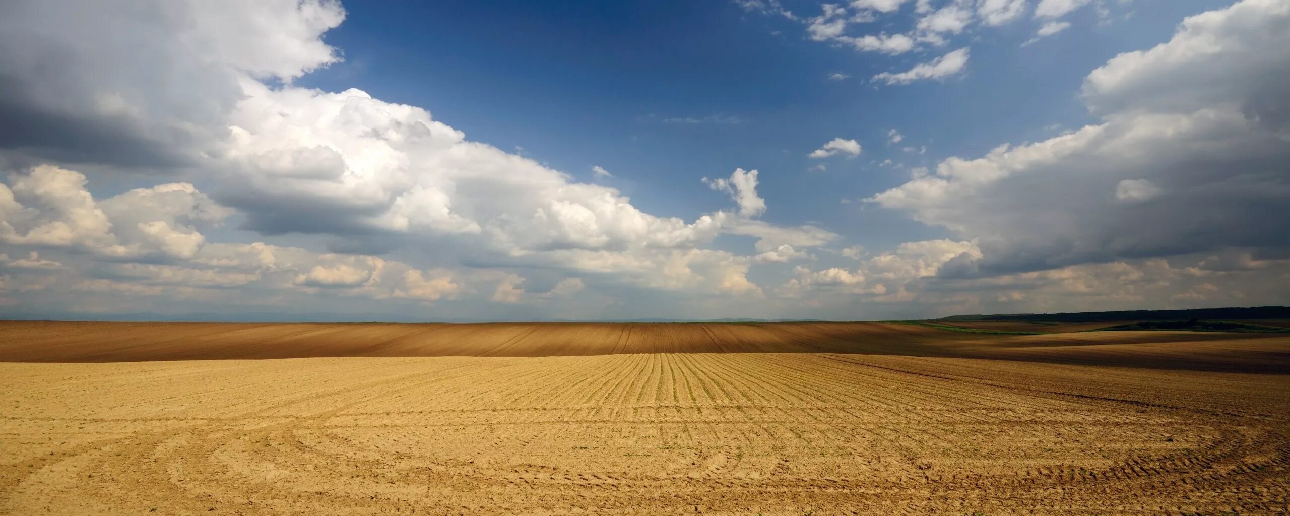 Пустыня Горизонт. Степь Горизонт. В поле. Линия горизонта. Related field