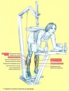Содержание подъем