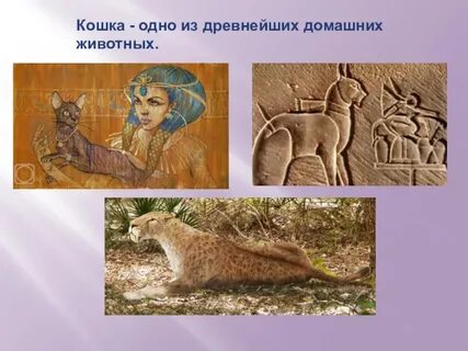 Древнее домашнее животное