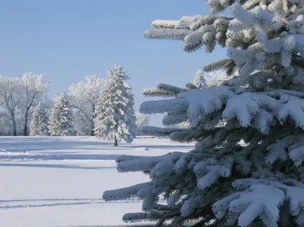 Январская погода