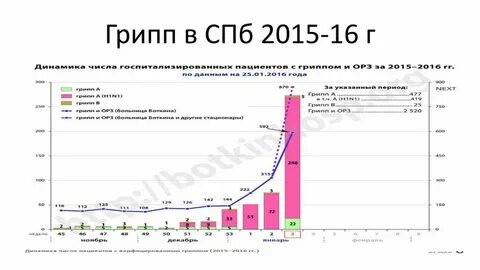 Заболеваемость гриппом в петербурге