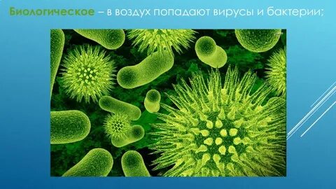 Загрязнение атмосферы биология