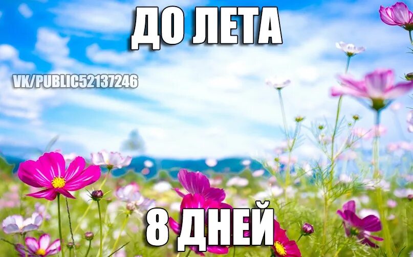 Ровное время до лета. До лета 8 дней. через 8 дней лето. до лета два дня. до лето осталось 8 дней.