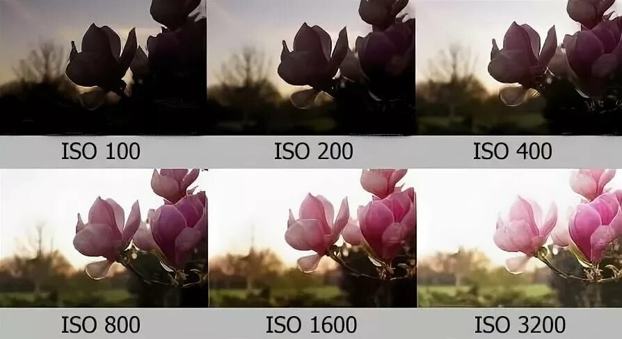 Iso видео. Iso в фотоаппарате. что такое исо в фотоаппарате. светочувствительность фотоаппарата. исо светочувствительность.