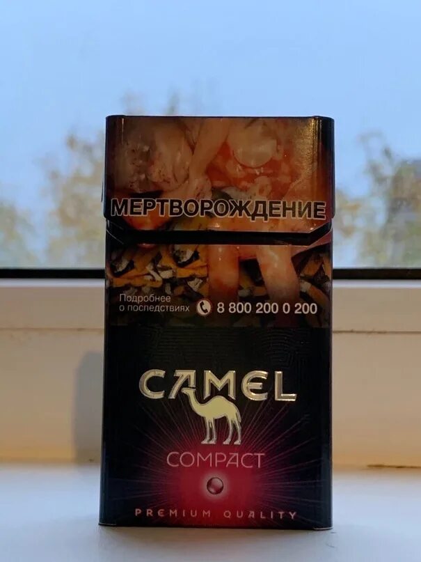 Сигареты кэмел компакт Руби (Camel Compact Ruby). Сигареты Compact Compact Ruby. Сигареты Camel Compact Premium quality. Camel Compact 100 Ruby. Кэмл компакт