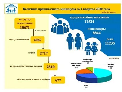Прожиточный минимум на ребенка в 2020 году