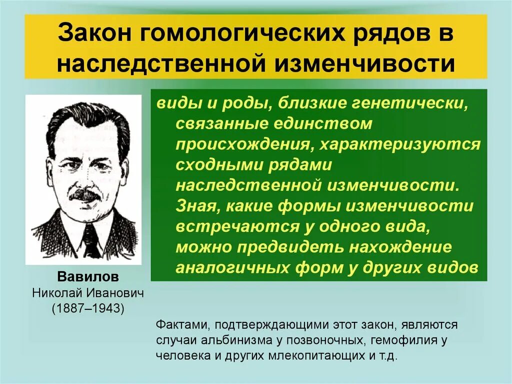 Общебиологическое значение закона гомологических рядов. Гомологических рядов в наследственной изменчивости н.и. Вавилова. Закон гомологических рядов изменчивости Вавилова. Закон гомологичных рядов наследственной изменчивости. Гомологические ряды изменчивости (н.и. Вавилов).