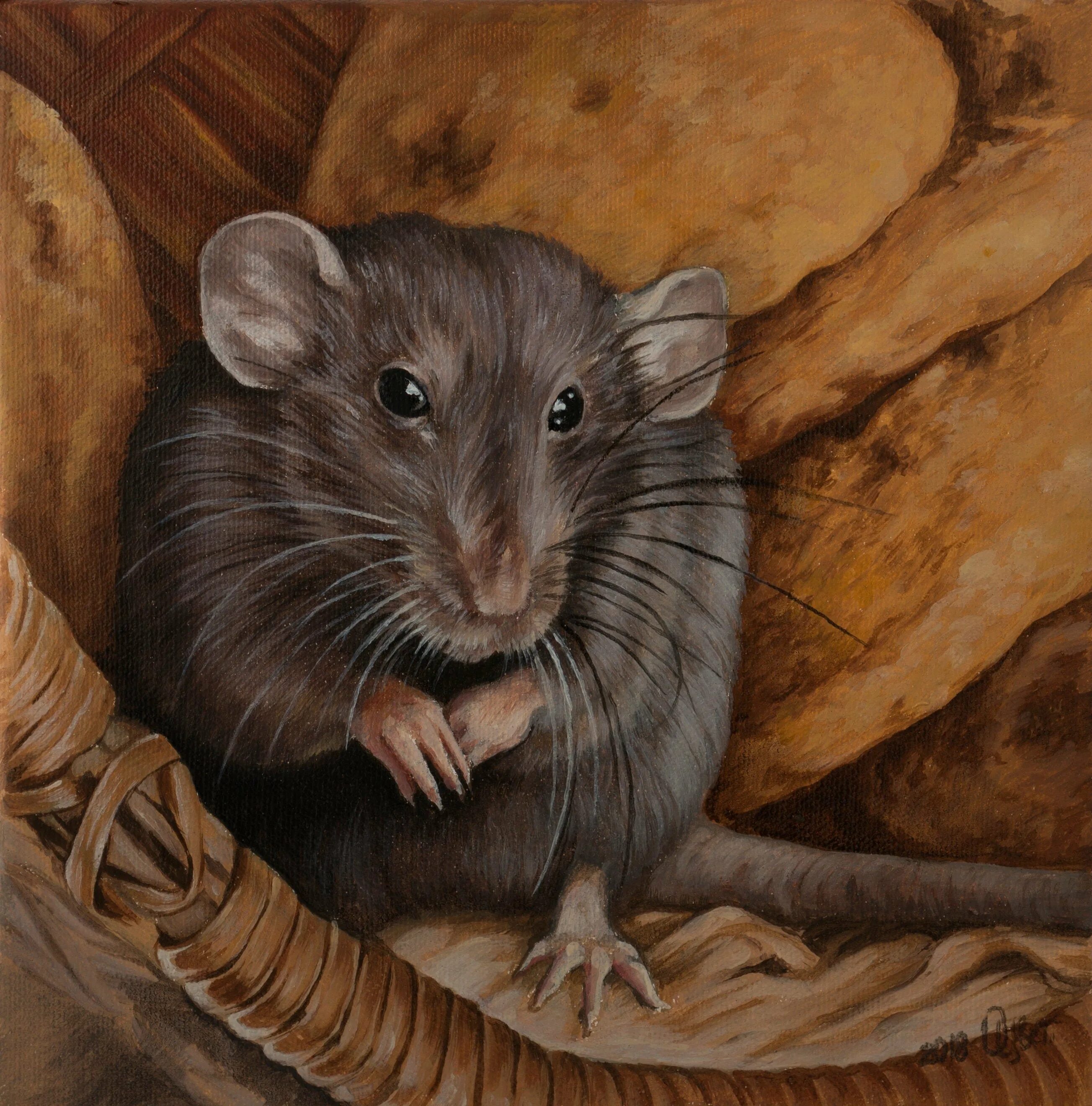 Секреты серой мыши. Бартелеми де шассенез. Домовая мышь. Крыса арт. Мышка.