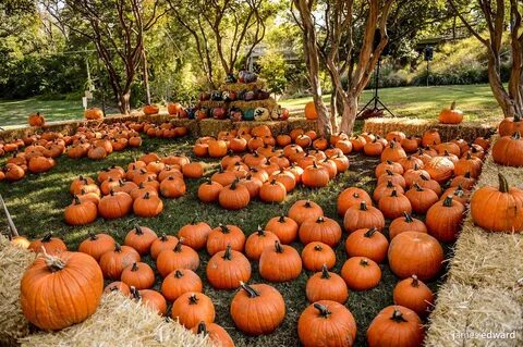 Fall holidays