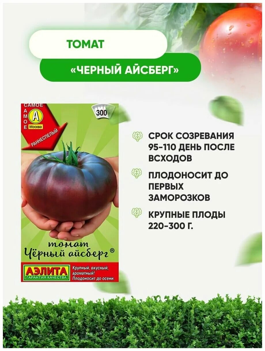 Помидоры черный Айсберг. Томат черный Айсберг описание. Томат черный айсберг фото