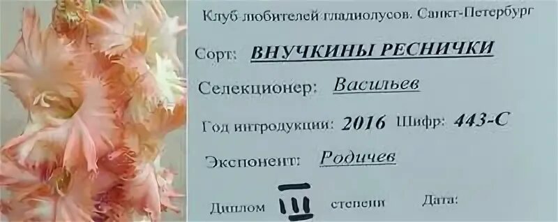 Внучкины реснички