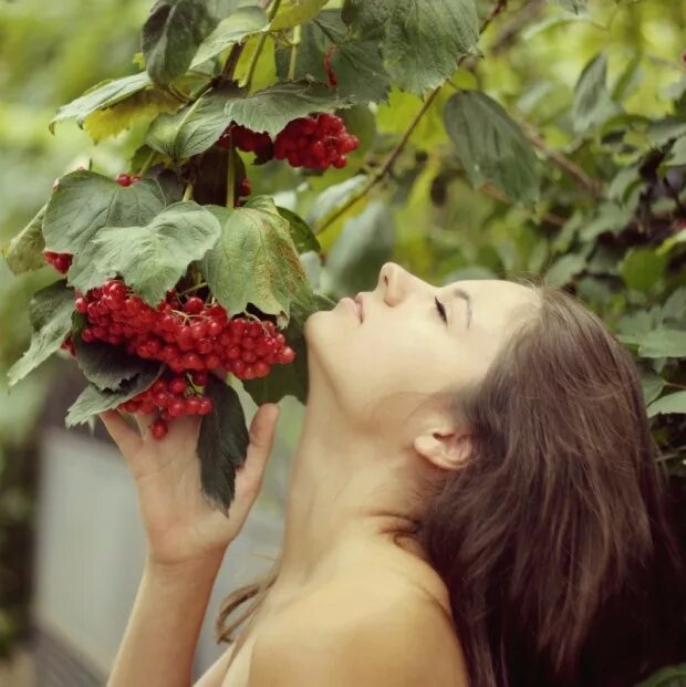 Мариэлла горькие ягодки. Девушка у куста калины. Девушка под рябиной. Влюбленные под рябиной. Рябина любовь.