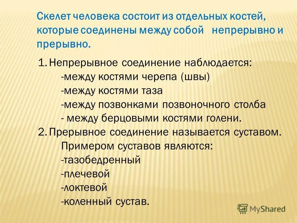 Отличия скелета человека от млекопитающего