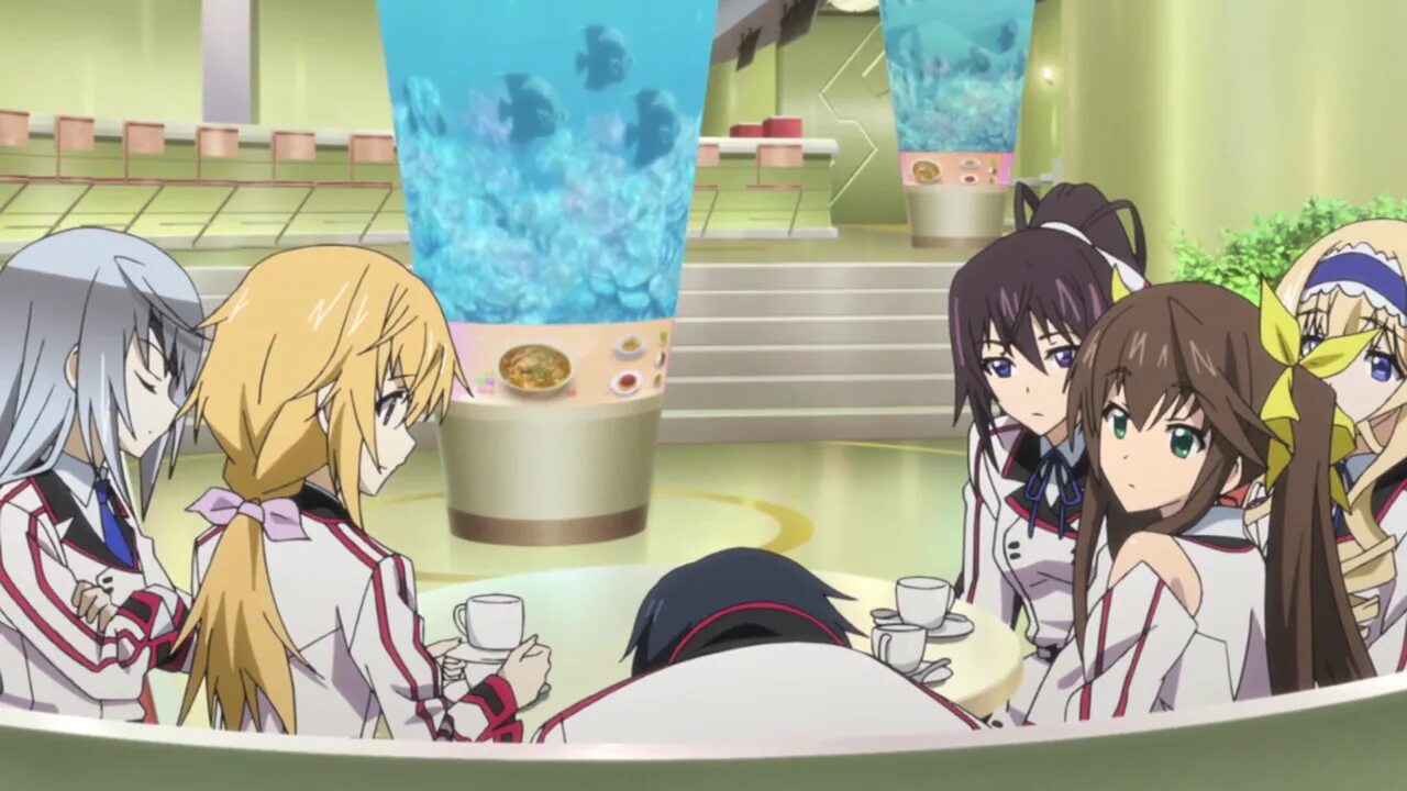 Тотальный гарем дата выхода. Infinite Stratos гарем. Infinite Stratos 2.