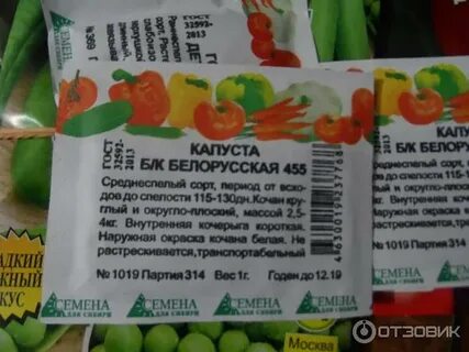 Семена интернету беларусь