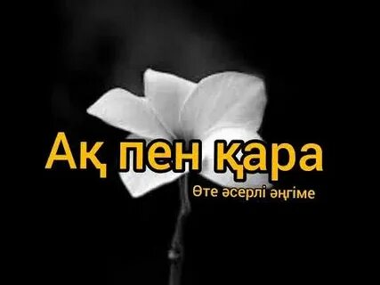 Лесби порно дилдо