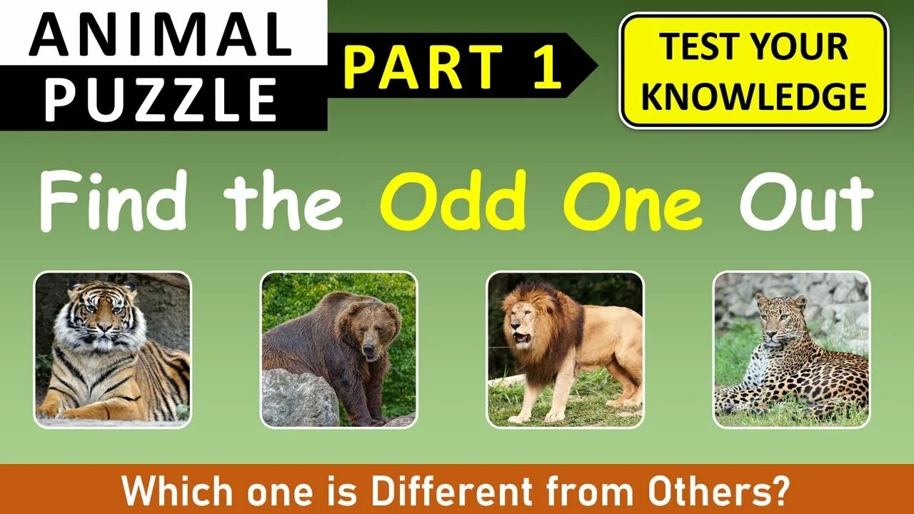 Find the odd one out. Odd one out animals. Odd one out. Тест circle odd one out. Find the odd out.
