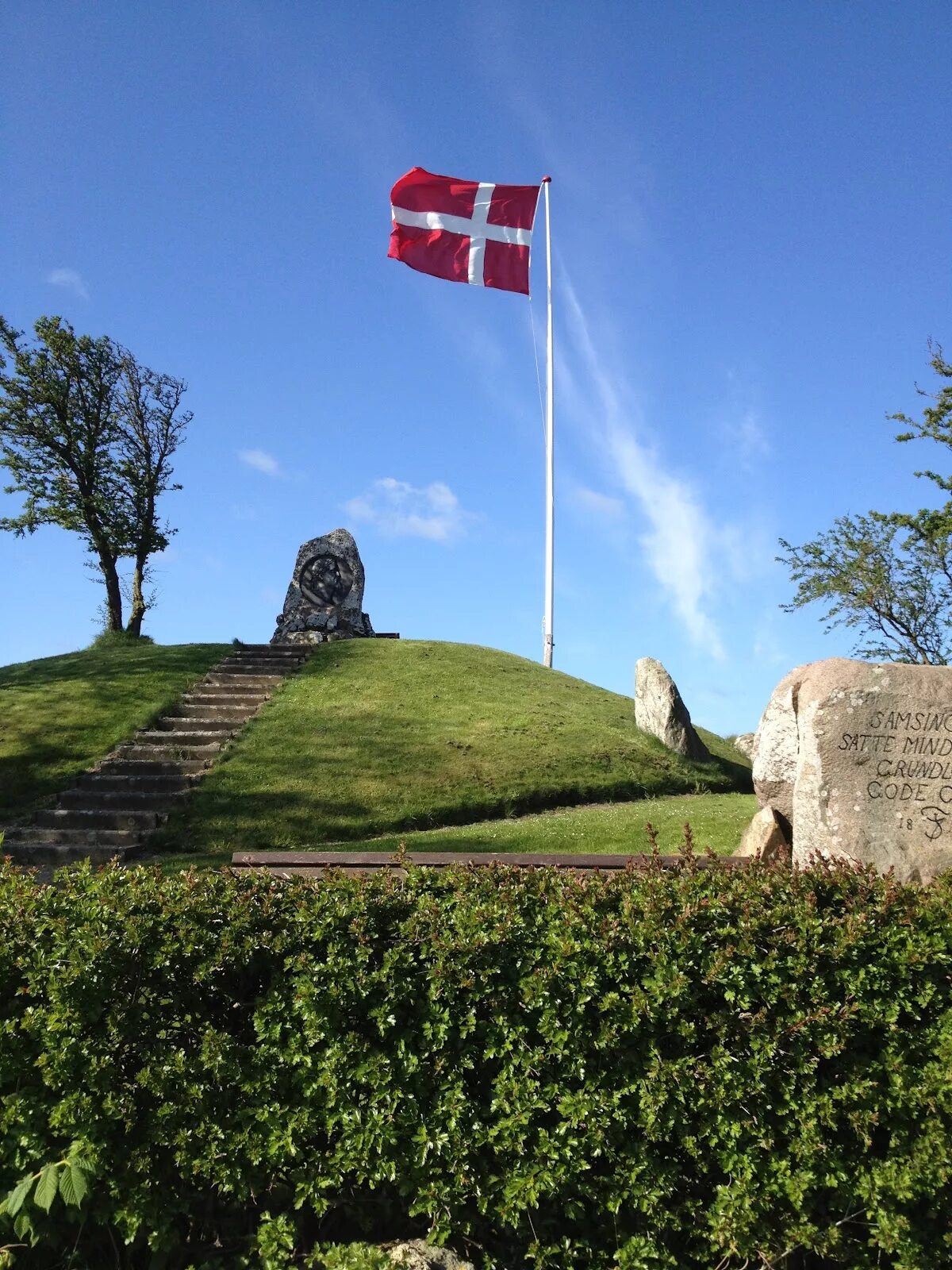 Flag main