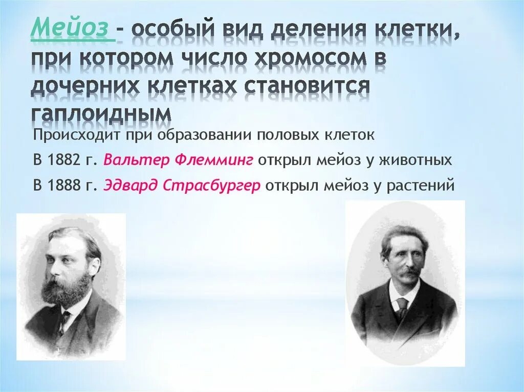 Мейоз. Мейоз 10 класс биология. Мейоз 1 схема. Мейоз презентация 10 класс профильный уровень. Мейоз особый вид деления клетки при котором число хромосом.