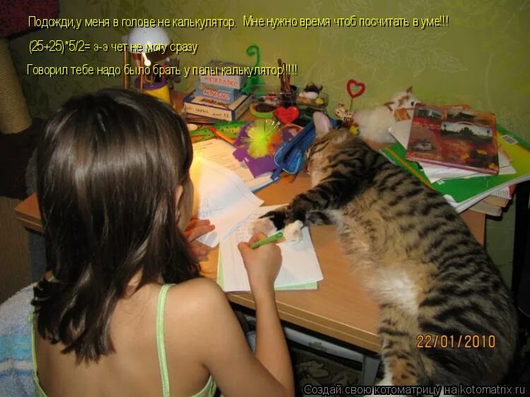 Будешь помогать с уроками. Кот делает уроки. Котик делает уроки. Кошка помогает делать уроки. Кот том делает уроки.