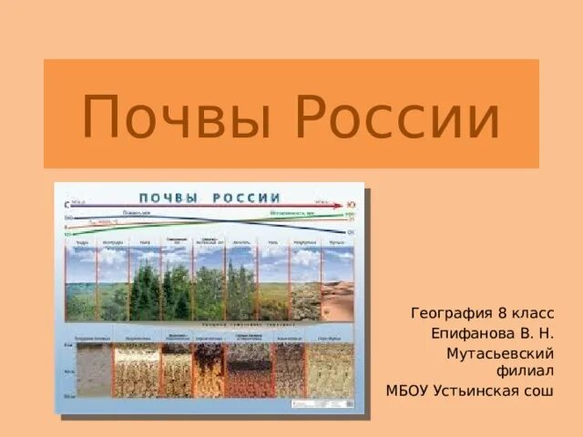 Почва урок географии 8 класс. Почвы России. Почвы география 8. Почвы России 8 класс география. Почвы России 8.