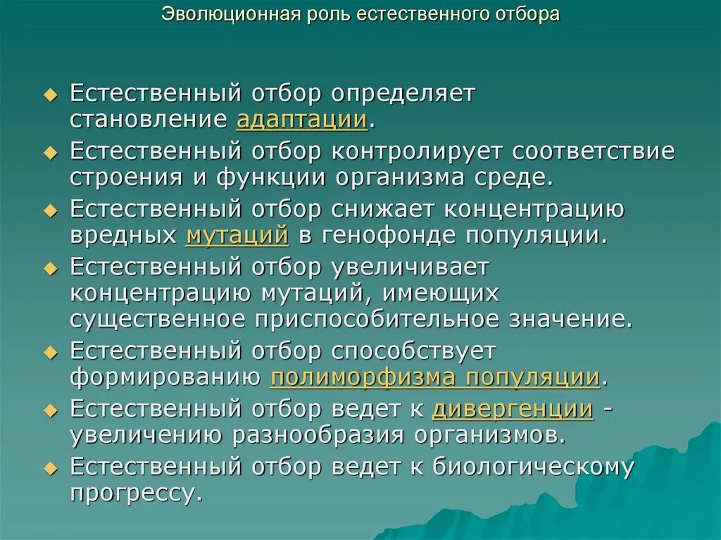 Роль естественного отбора в эволюции. Естественный отбор и его роль в эволюции. Творческая роль естественного отбора в эволюции. Функции естественного отбора в эволюции. Какую роль в эволюционном процессе играет борьба