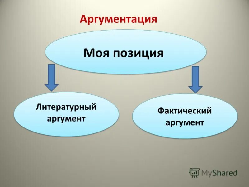 Фактический аргумент это. Моя позиция. Фактическая аргументация это.