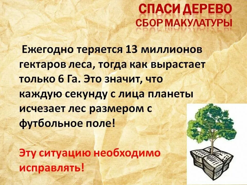 Количество бумаги в россии. Сбор макулатуры дерево. 100 Кг макулатуры 1 дерево. Макулатура спасает дерево. Собери макулатуру сохрани дерево.