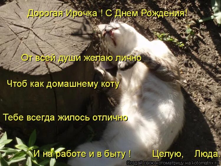 Музыкальные открытки с днем рождения. От всей души желаю счастья. От души желаю. Пусть как домашнему коту тебе всегда жилось отлично. От всей души желаю лично.
