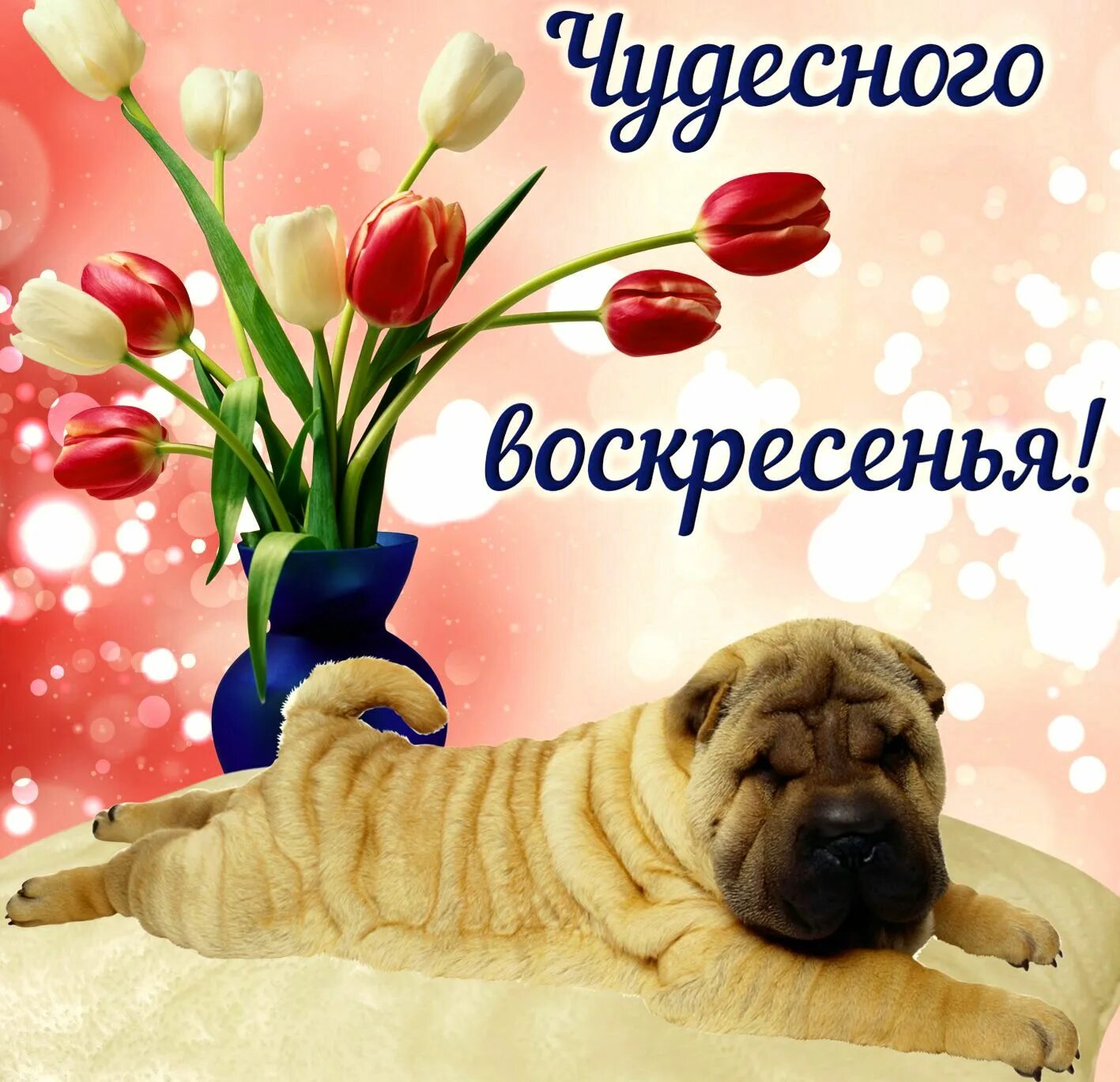 Доброе утро воскресенья веселые картинки. Открытки с добрым утром воскресенья. открытки хорошего воскресенья. поздравление с воскресеньем. открытки с добрым воскресным утром.