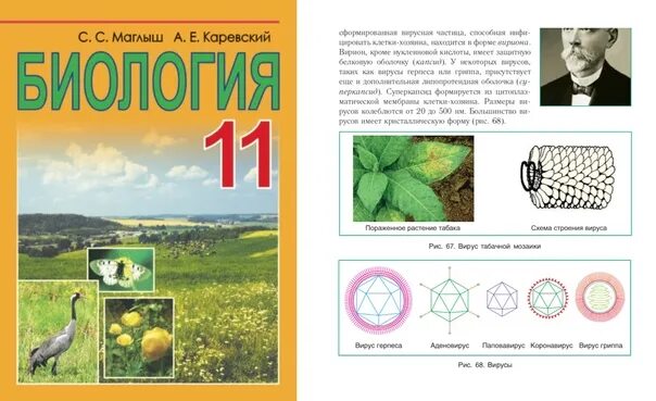 Проект по биологии 10 11 класс. Учебник биологии 10 класс коронавирус. Коронавирус в учебнике биологии. Коронавирус в учебнике биологии 2010. Школьные учебники по биологии.