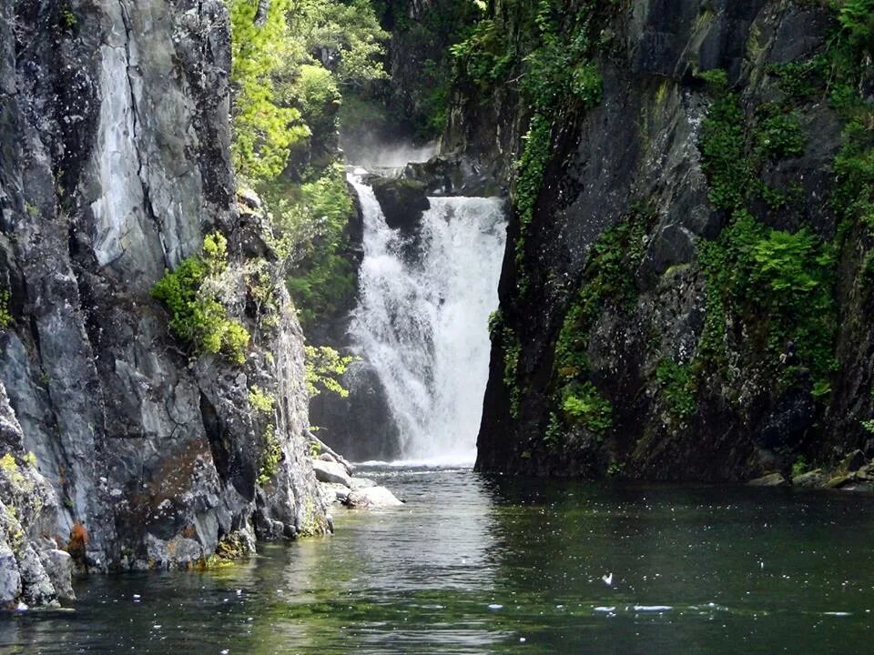 Водопад ЭСТЮБА на Телецком. ЭСТЮБА Телецкое озеро. Водопад Чоодор Телецкое озеро. Водопад Эстюбе Телецкого озера. Водопады на телецком