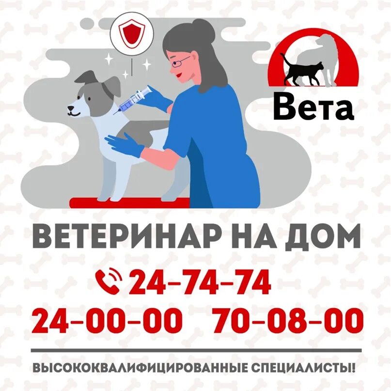 Вызов ветврача на дом. Вызов врача ветеринара на дом. Ветеринар на вызов круглосуточно. Номера ветеринаров на дом. Врач на дом кемерово