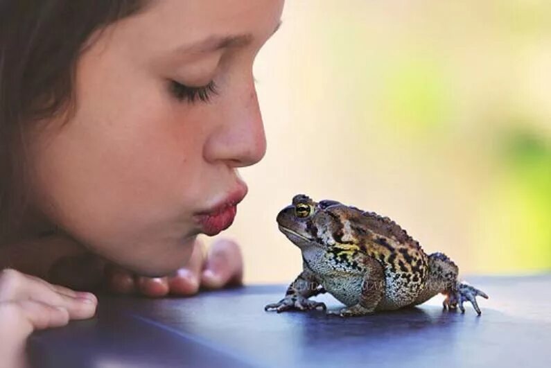 Девушка целует лягушку. Тонкая лягушка. Pseudis paradoxa. Удивительная лягушка головастик. Лечебная лягушка.