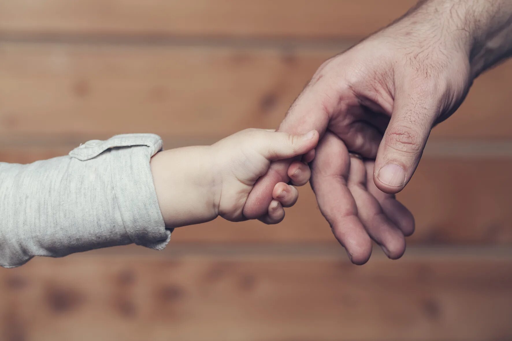 кулак взрослого и ребенка. мужская рука. руки отца. держит за запястье. рука ребенка и взрослого.