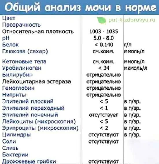 Эпителий какая норма. Расшифровка анализа мочи у мужчин таблица. Анализ мочи расшифровка у детей 6 лет норма в таблице. Общий анализ мочи у мужчин норма РН. Нормальные показатели анализа мочи эпителий.