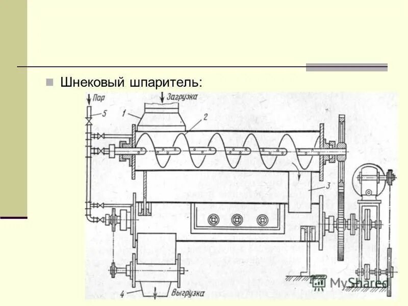 Функция шпарителя как машины 13 букв. Шнековый шпаритель. Шпаритель для фруктов. Шпаритель для яблок. ГОСТ шпаритель для ног птицы субпродуктов.